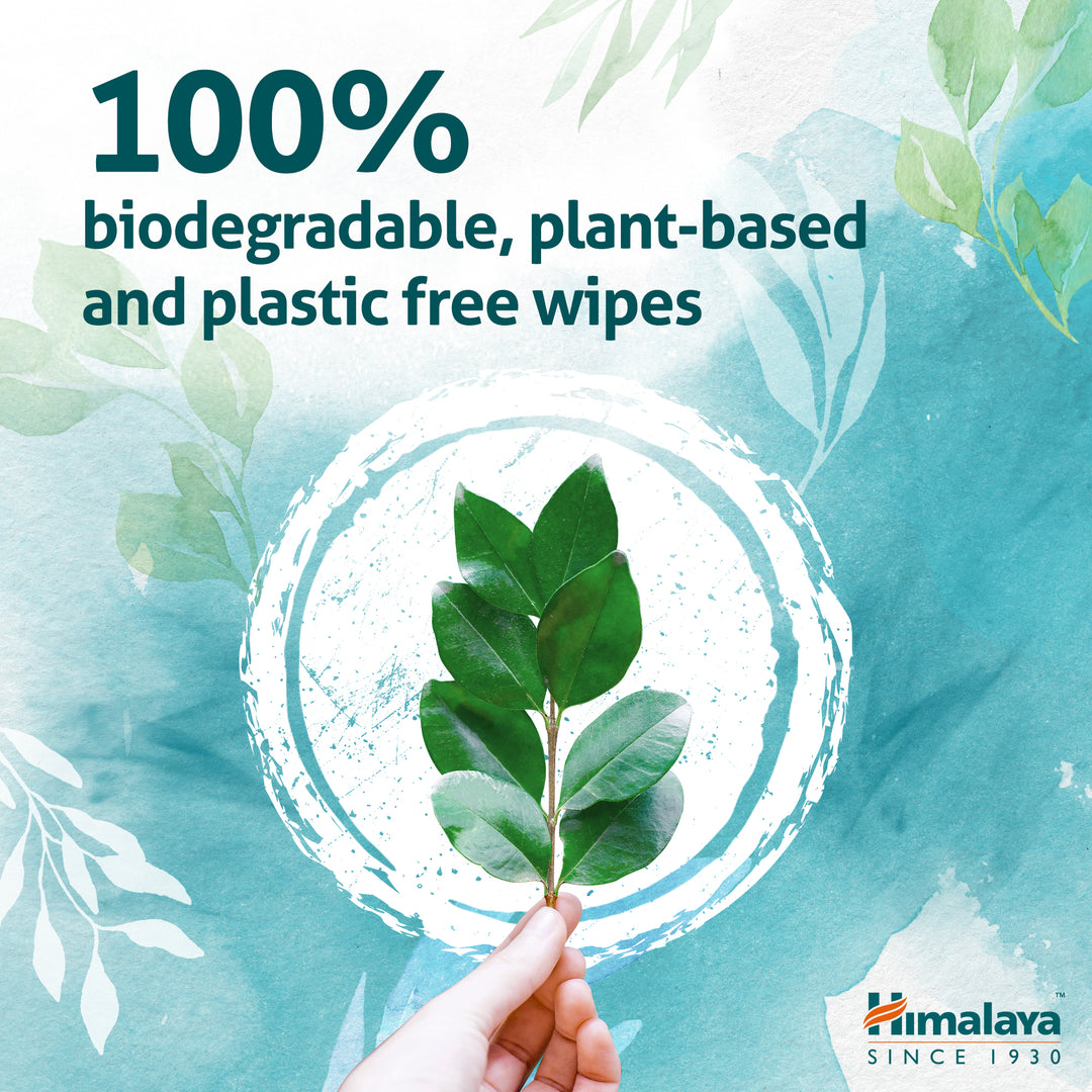 Himalaya Nature Touch Water Baby Wipes
