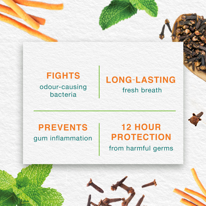 Mint Fresh Herbal Toothpaste 100ml