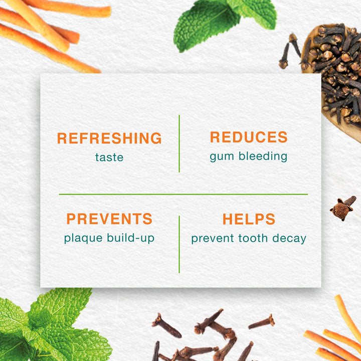 Mint Fresh Herbal Toothpaste 100ml