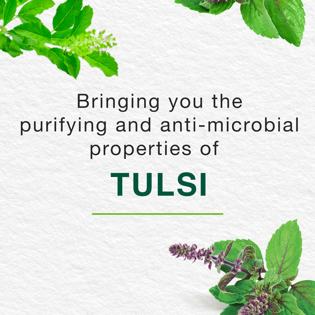 Pure Hands Tulsi & Aloe Vera Anti-Bacterial HAND WASH